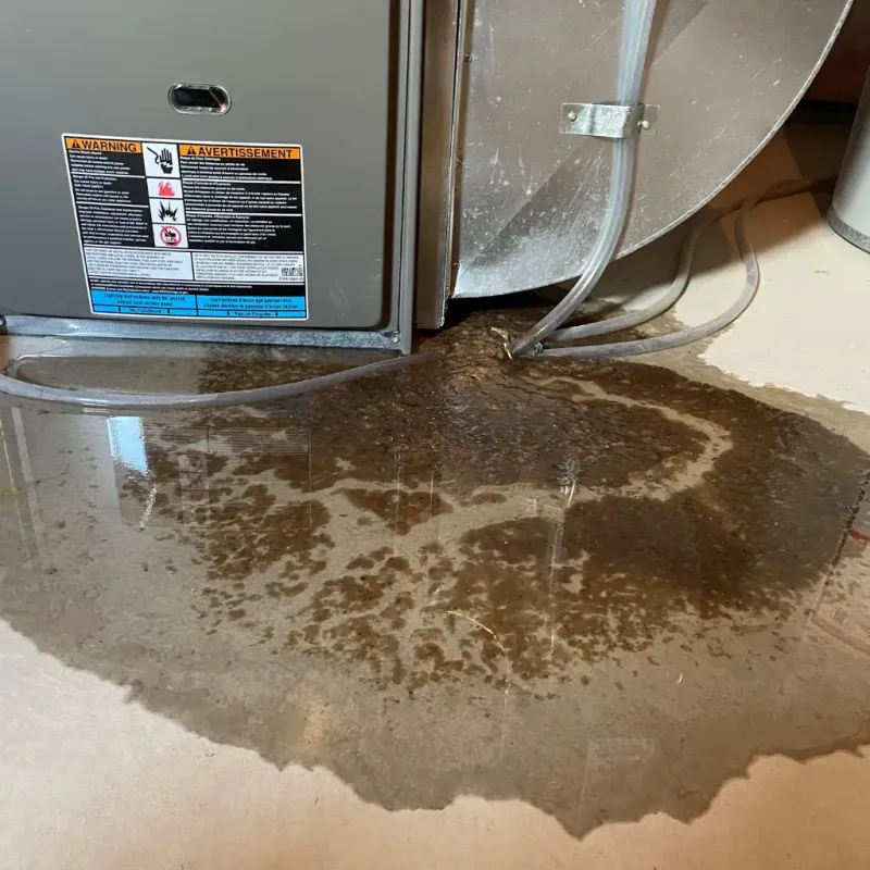 Appliance Leak Cleanup in Graham, TX